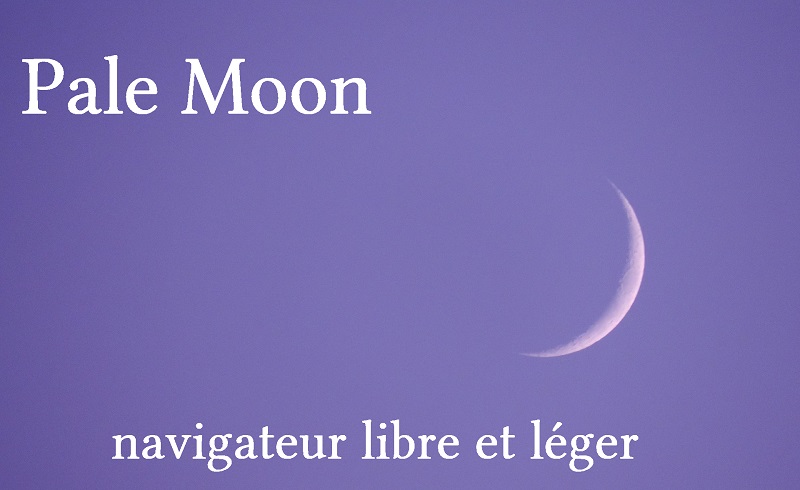 download the new version for android Pale Moon 32.3.1